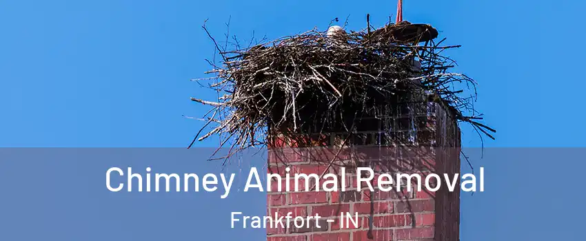  Chimney Animal Removal Frankfort - IN
