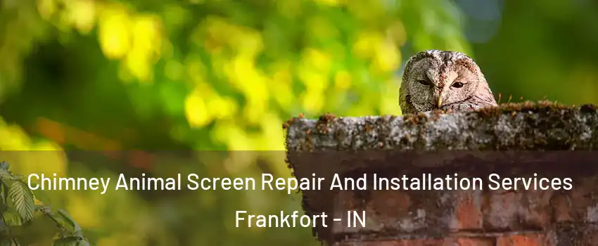  Chimney Animal Screen Repair And Installation Services Frankfort - IN