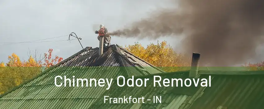 Chimney Odor Removal Frankfort - IN