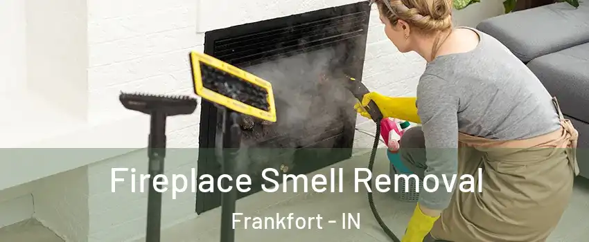  Fireplace Smell Removal Frankfort - IN
