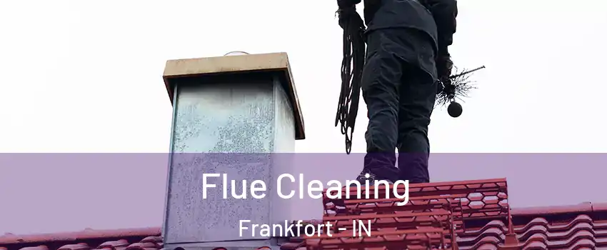 Flue Cleaning Frankfort - IN