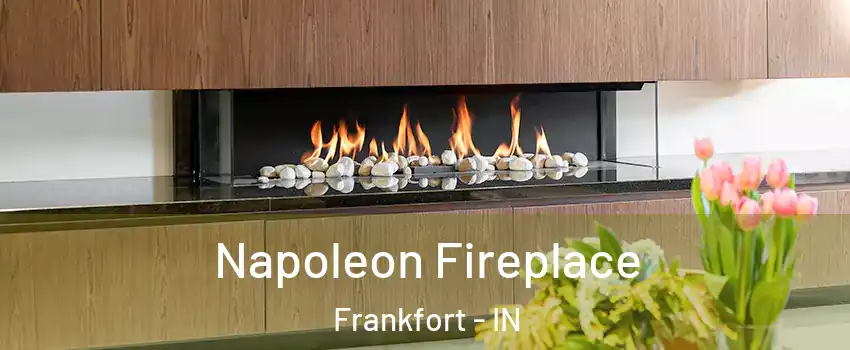  Napoleon Fireplace Frankfort - IN